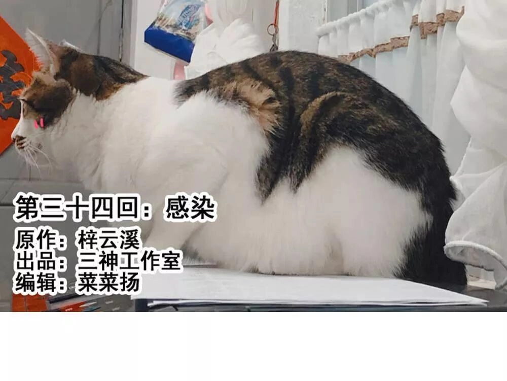 Thái Tử Phi Nhà Ta Thật Hung Hăng Chapter 34 - 1