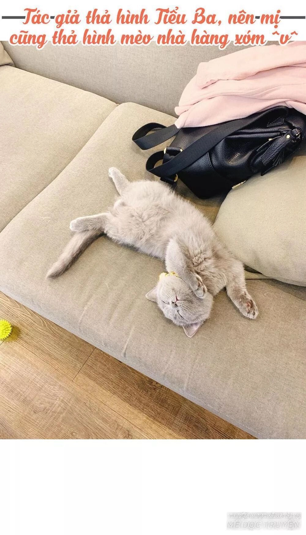 Thái Tử Phi Nhà Ta Thật Hung Hăng Chapter 41 - 44