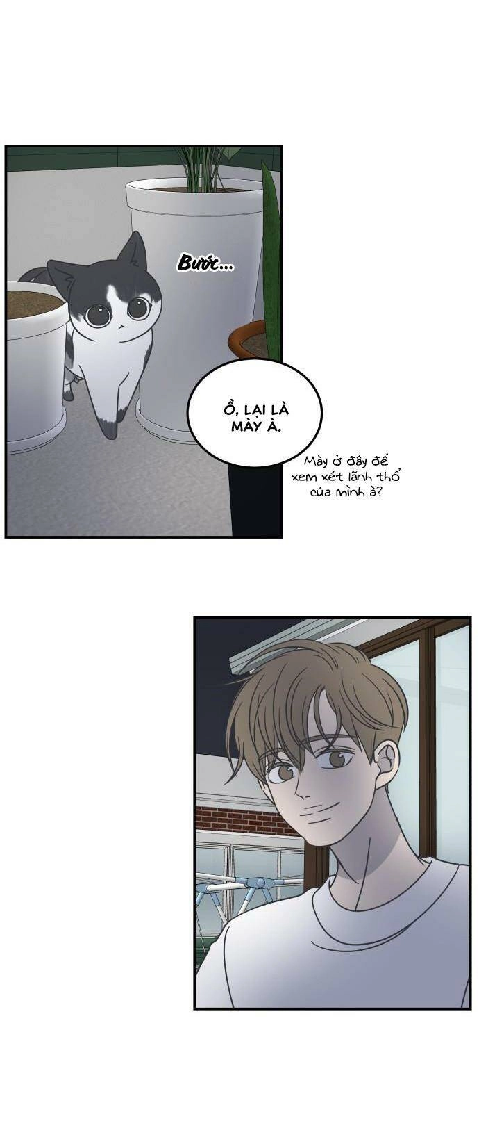 Kế Hoạch Hẹn Hò Của Bareum Chapter 54 - 11