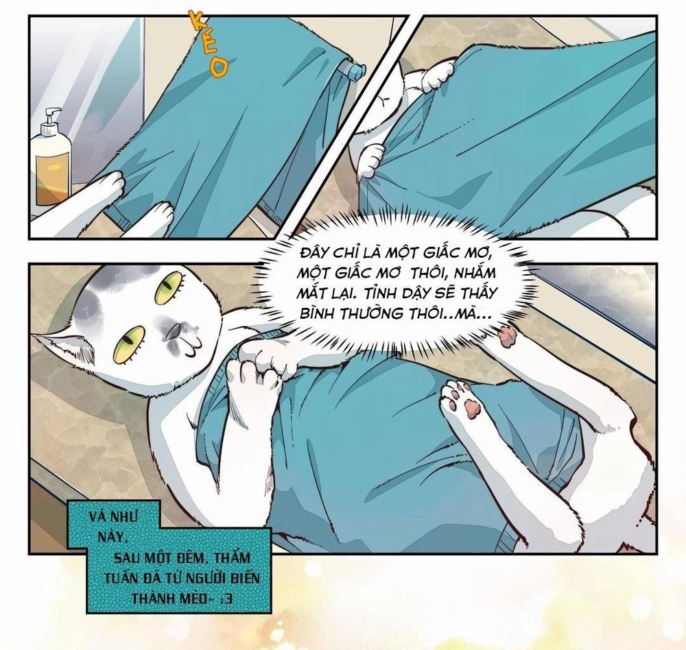 Thời Khắc Ấy, Chúng Ta Gặp Nhau Chapter 1 - 31