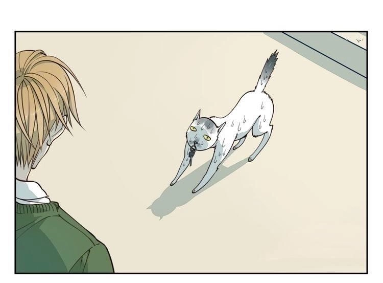 Thời Khắc Ấy, Chúng Ta Gặp Nhau Chapter 2 - 15