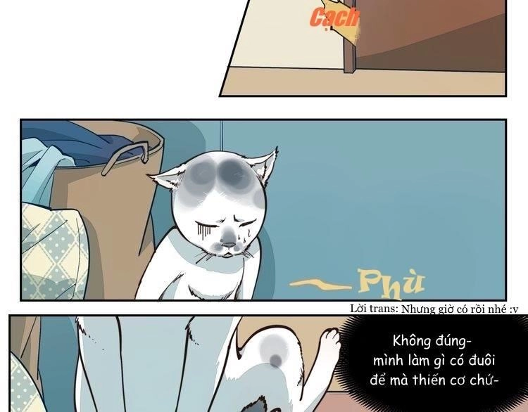 Thời Khắc Ấy, Chúng Ta Gặp Nhau Chapter 5 - 10