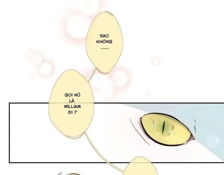 Thời Khắc Ấy, Chúng Ta Gặp Nhau Chapter 11 - 12