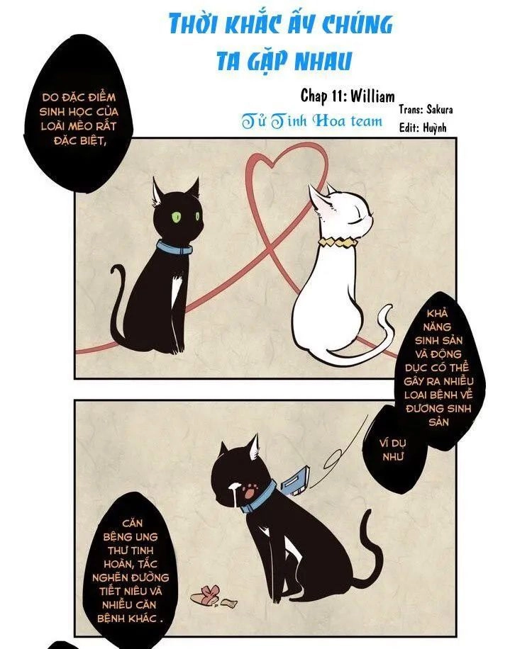 Thời Khắc Ấy, Chúng Ta Gặp Nhau Chapter 11 - 15