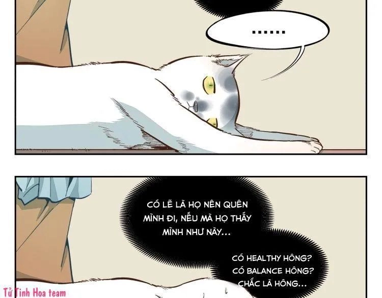 Thời Khắc Ấy, Chúng Ta Gặp Nhau Chapter 16 - 20