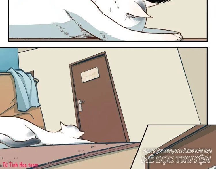 Thời Khắc Ấy, Chúng Ta Gặp Nhau Chapter 16 - 21