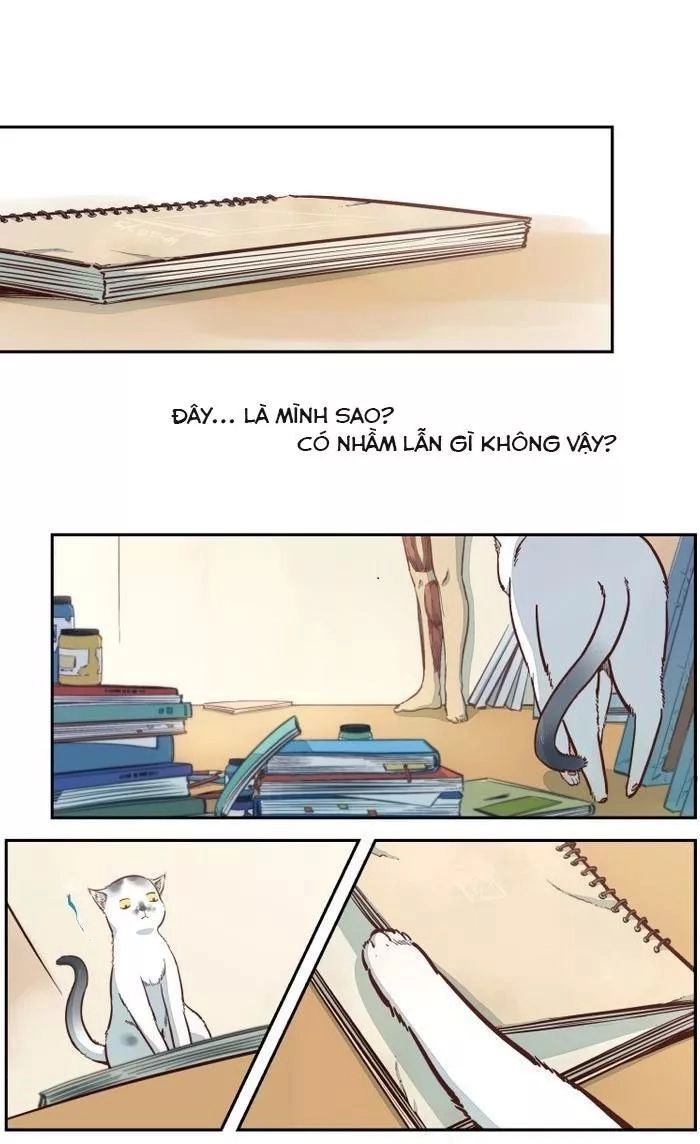 Thời Khắc Ấy, Chúng Ta Gặp Nhau Chapter 19 - 2