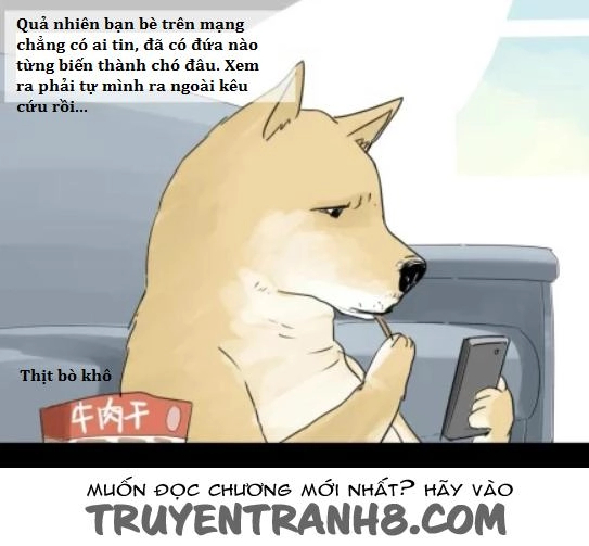 Một Con Chó Chapter 2 - 3