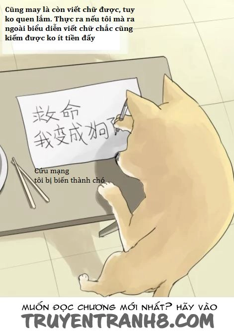 Một Con Chó Chapter 2 - 5