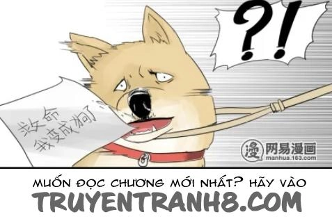 Một Con Chó Chapter 2 - 8