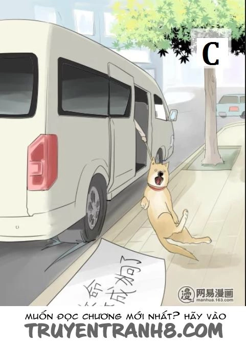 Một Con Chó Chapter 2 - 10
