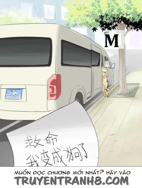 Một Con Chó Chapter 2 - 11