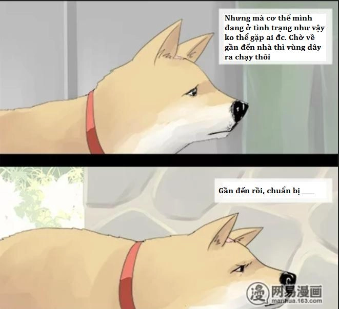 Một Con Chó Chapter 5 - 4