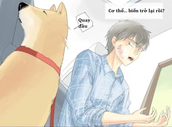 Một Con Chó Chapter 6 - 4