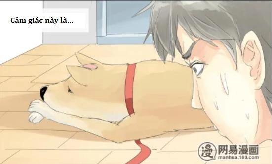 Một Con Chó Chapter 6 - 5