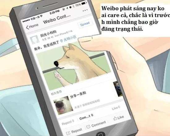 Một Con Chó Chapter 7 - 3