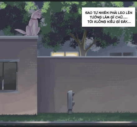 Một Con Chó Chapter 8 - 12