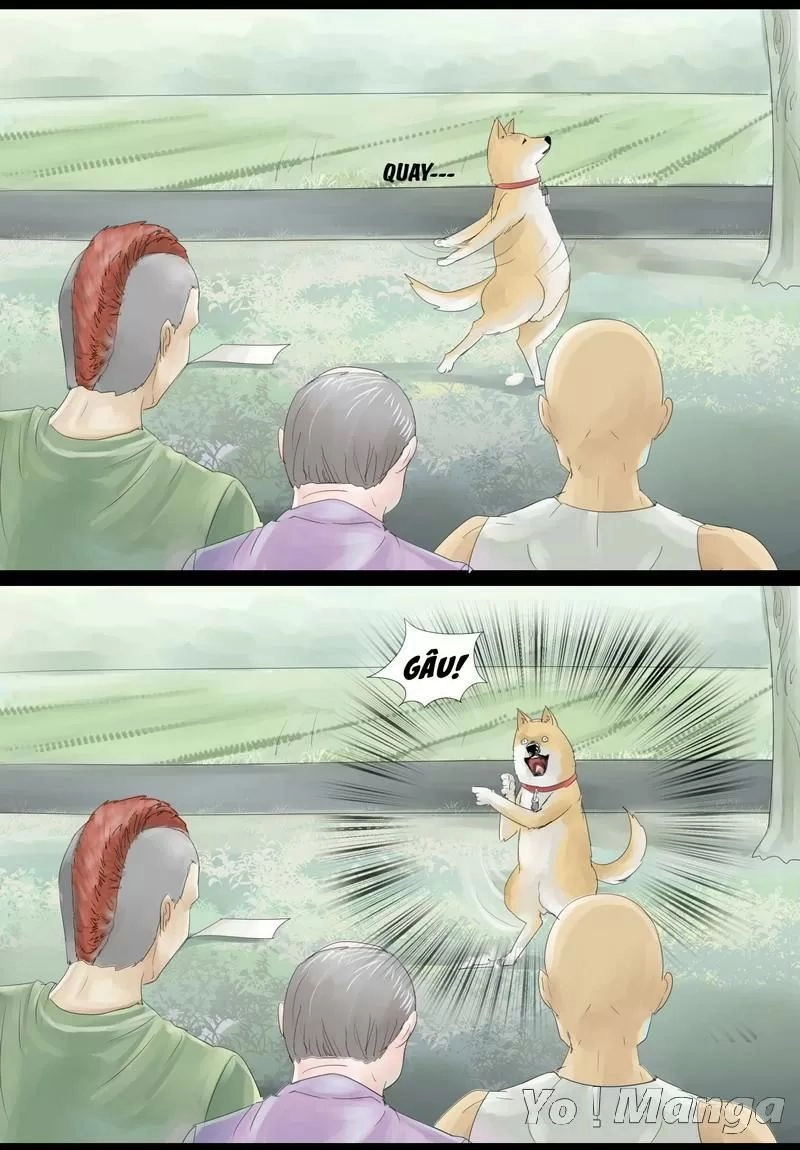 Một Con Chó Chapter 15 - 3