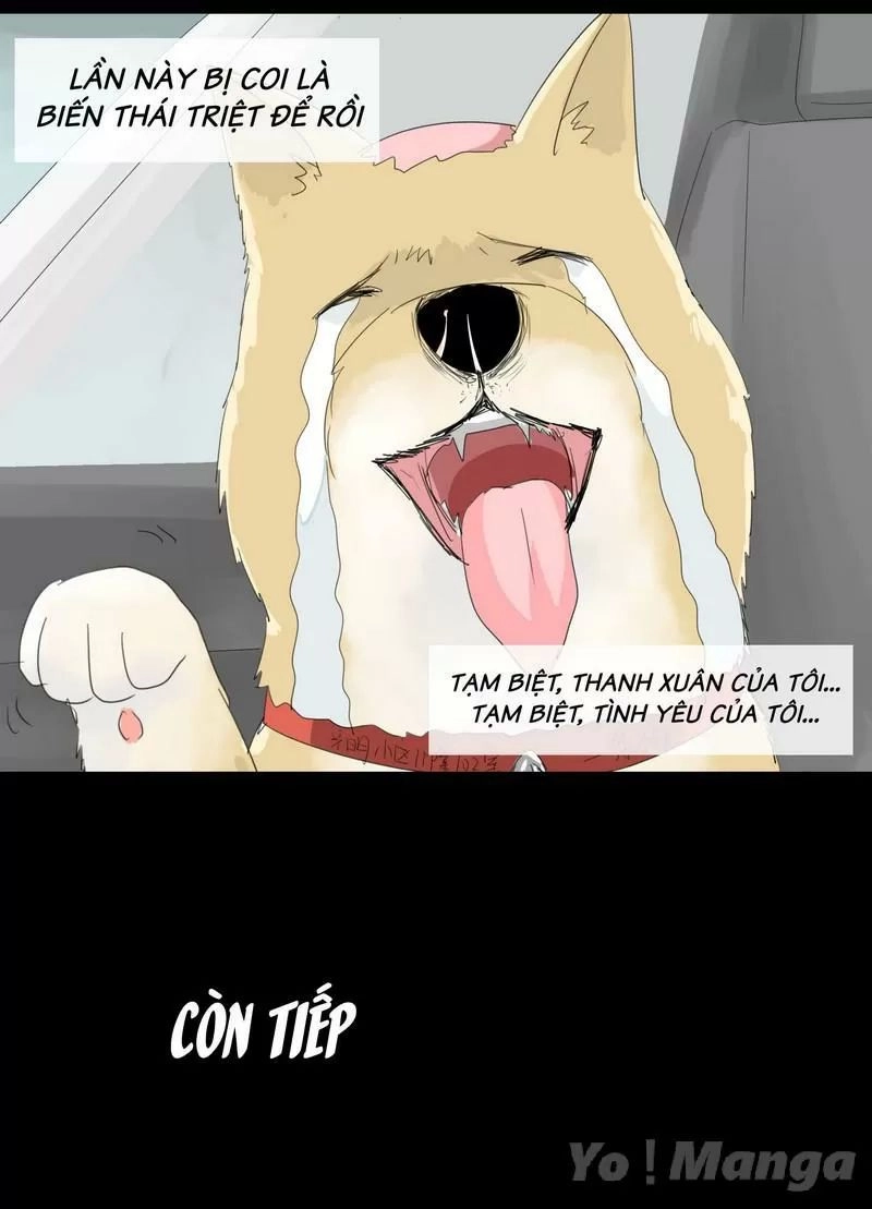 Một Con Chó Chapter 20 - 9