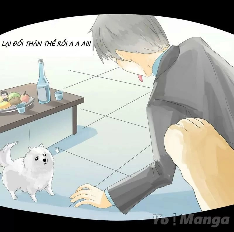 Một Con Chó Chapter 24 - 7