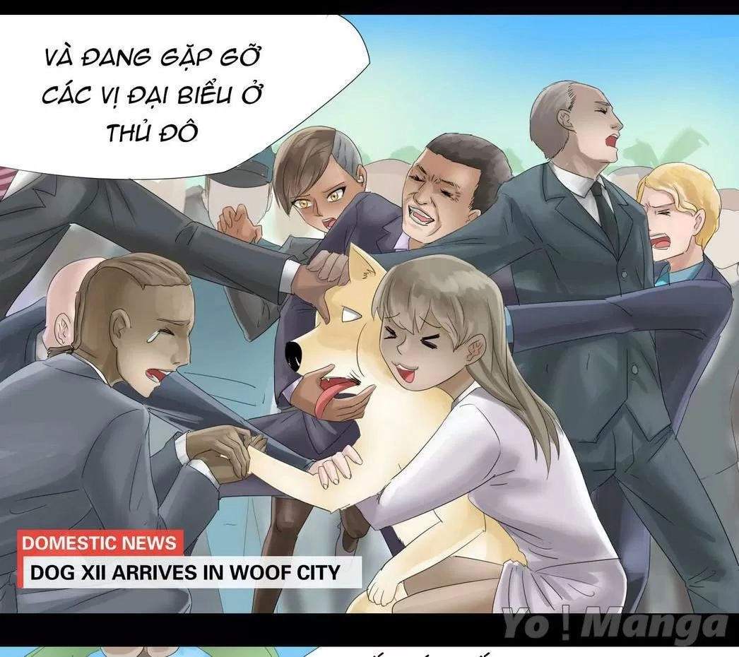 Một Con Chó Chapter 32 - 3