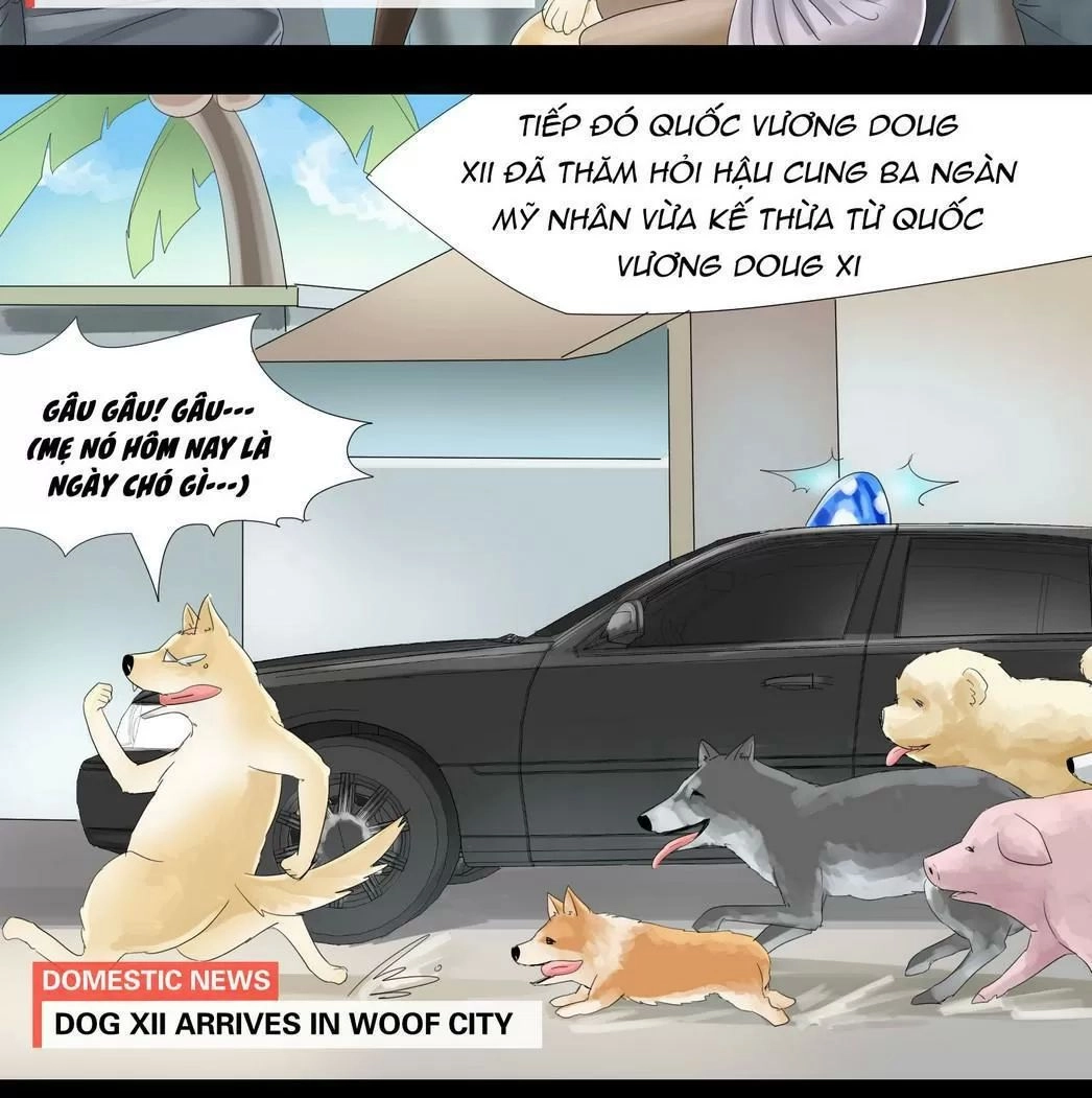 Một Con Chó Chapter 32 - 4