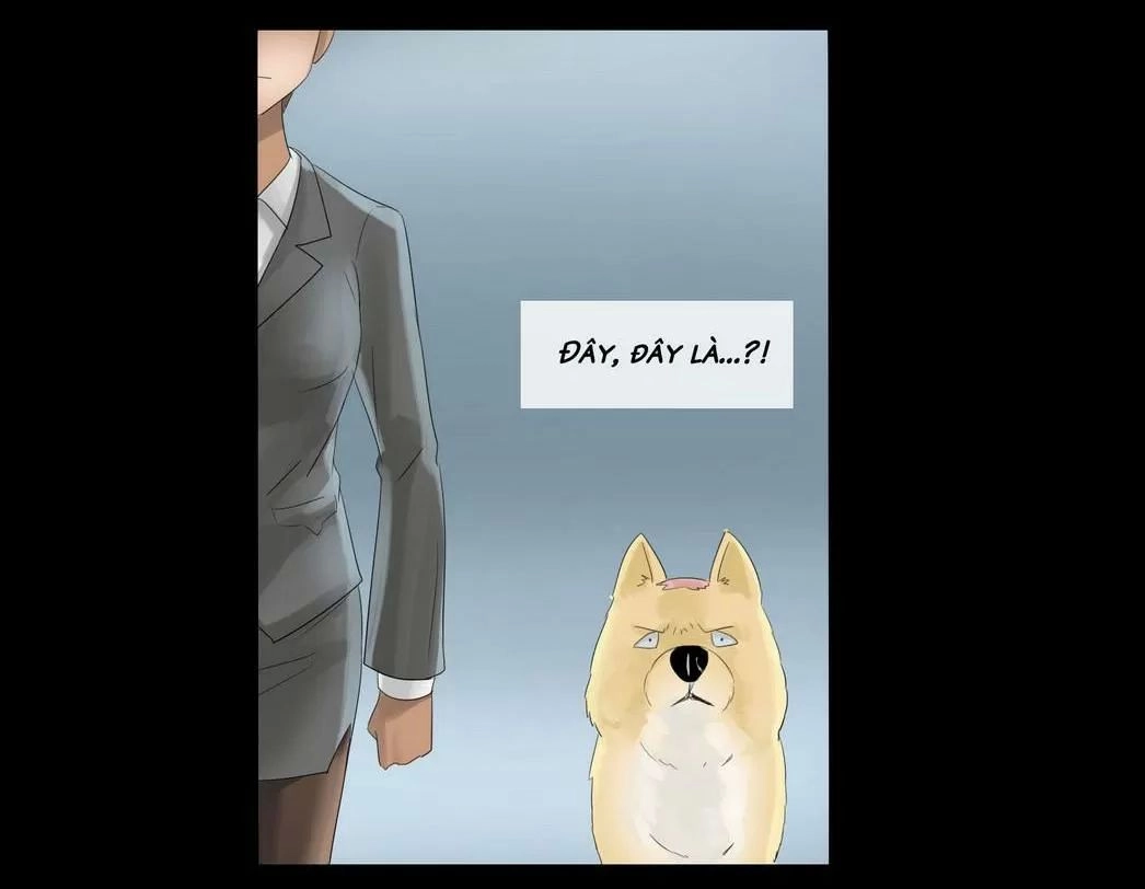 Một Con Chó Chapter 32 - 13