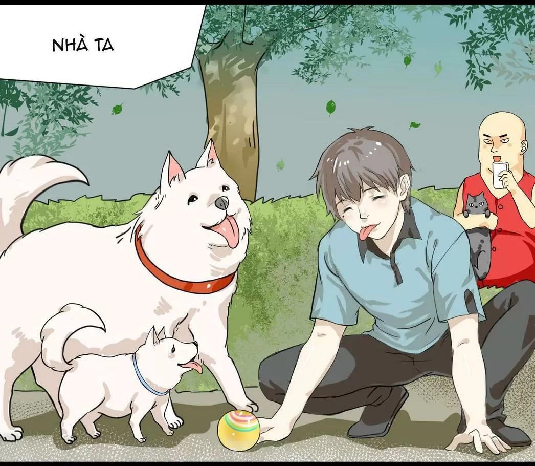 Một Con Chó Chapter 42 - 6