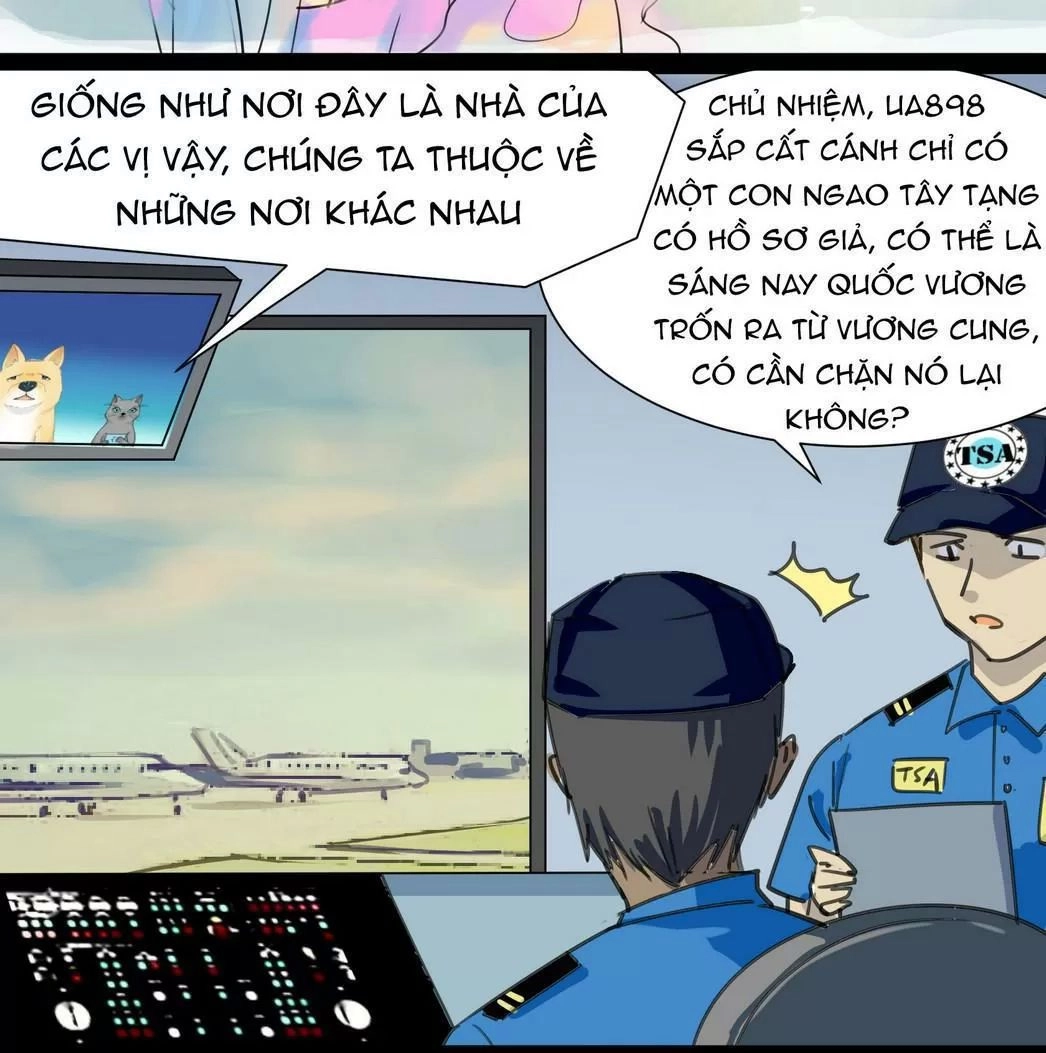 Một Con Chó Chapter 42 - 10