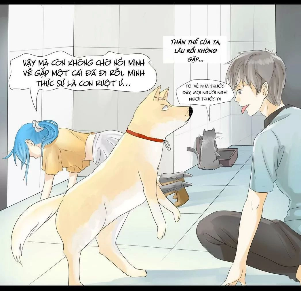 Một Con Chó Chapter 43 - 7