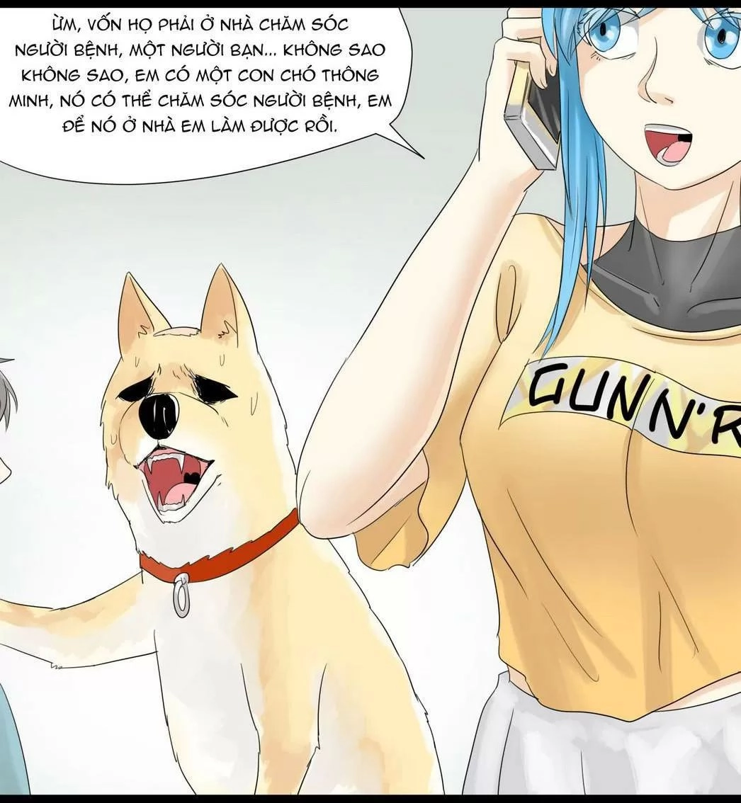 Một Con Chó Chapter 43 - 9
