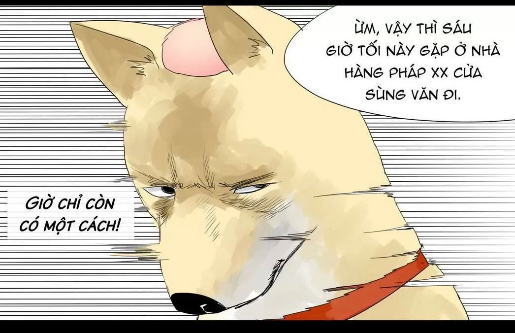 Một Con Chó Chapter 43 - 10