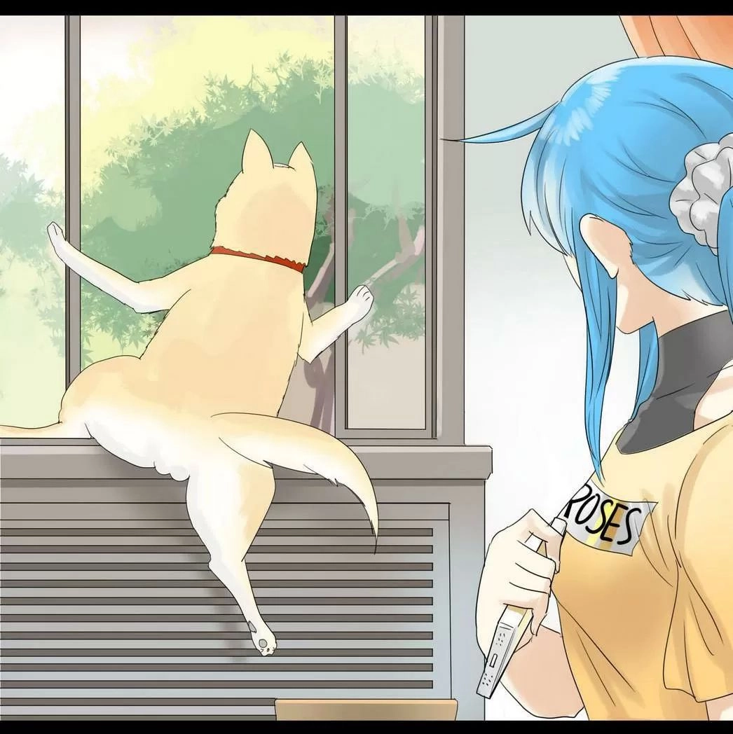 Một Con Chó Chapter 43 - 13