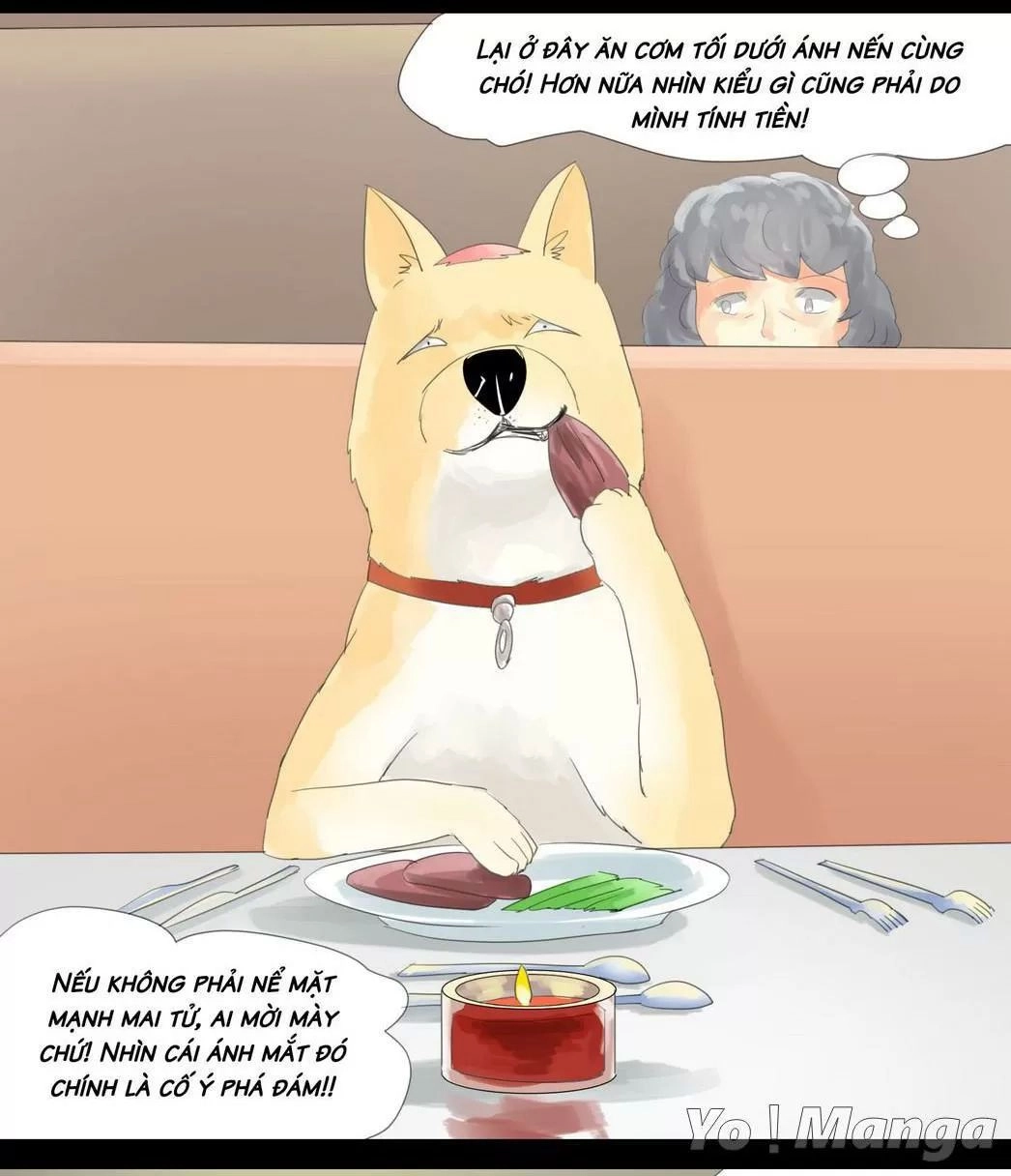 Một Con Chó Chapter 45 - 4