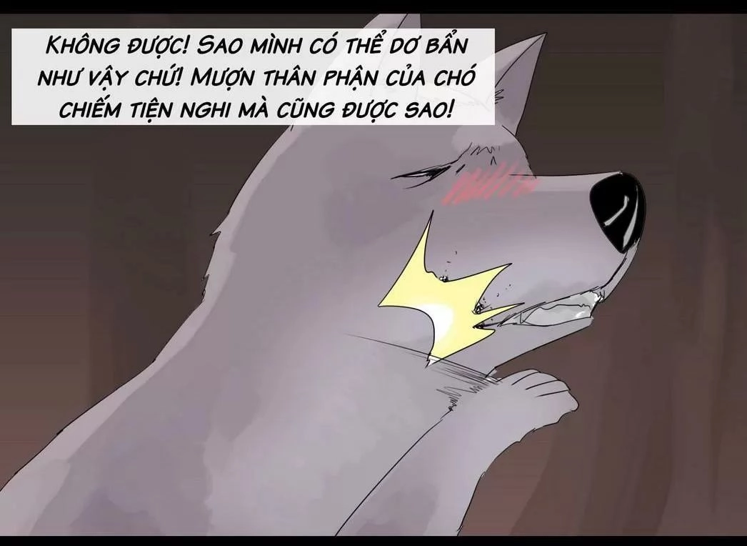 Một Con Chó Chapter 47 - 5
