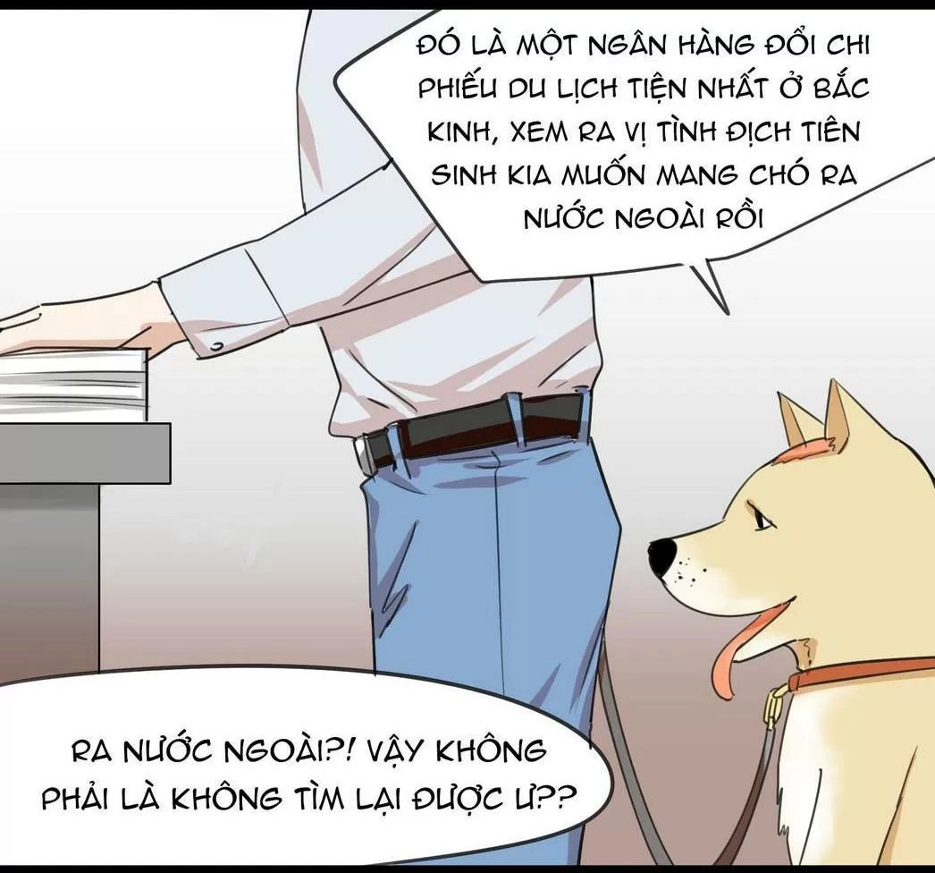 Một Con Chó Chapter 51 - 6