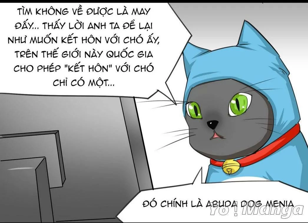 Một Con Chó Chapter 51 - 7
