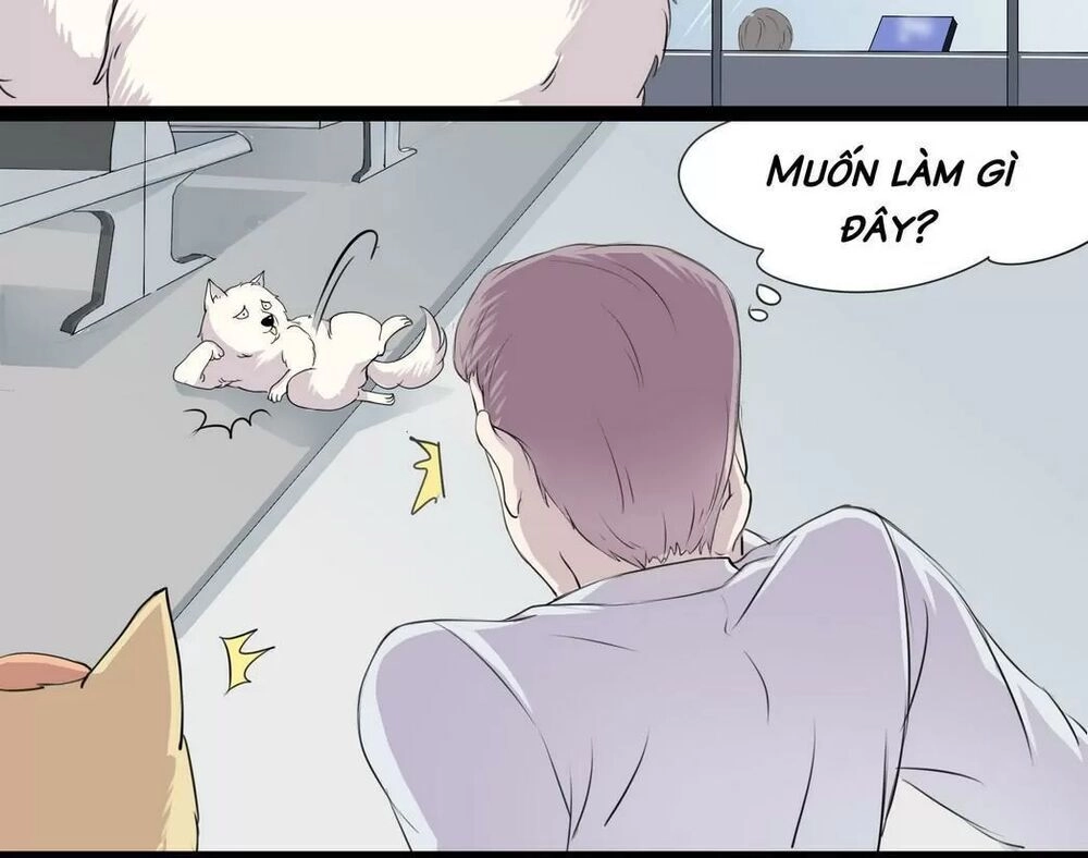 Một Con Chó Chapter 53 - 5
