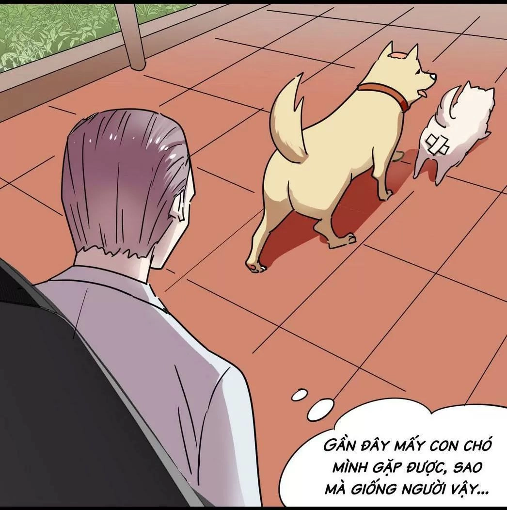 Một Con Chó Chapter 54 - 12