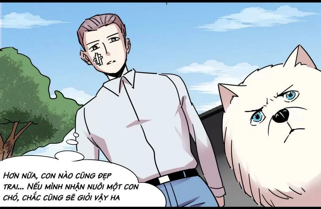Một Con Chó Chapter 54 - 13
