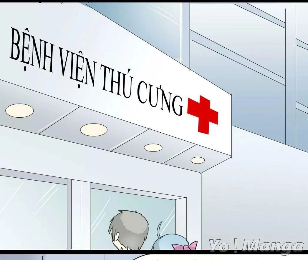 Một Con Chó Chapter 55 - 5