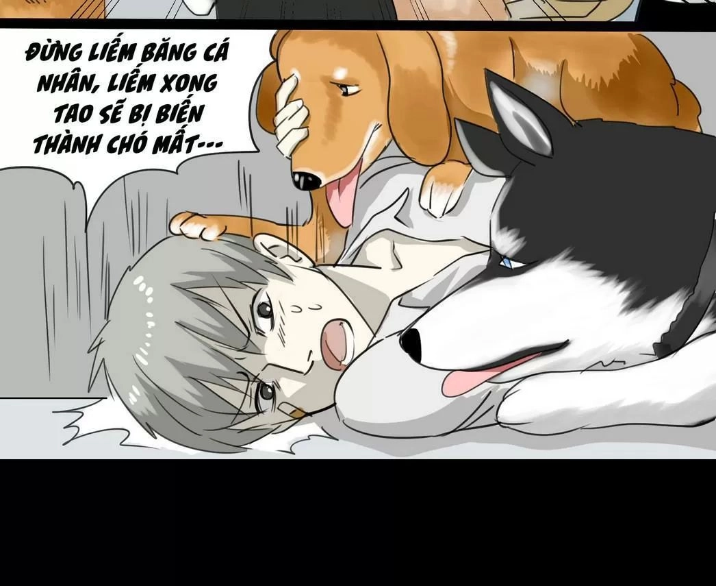 Một Con Chó Chapter 56 - 5