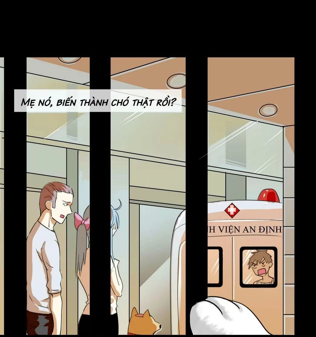 Một Con Chó Chapter 56 - 6