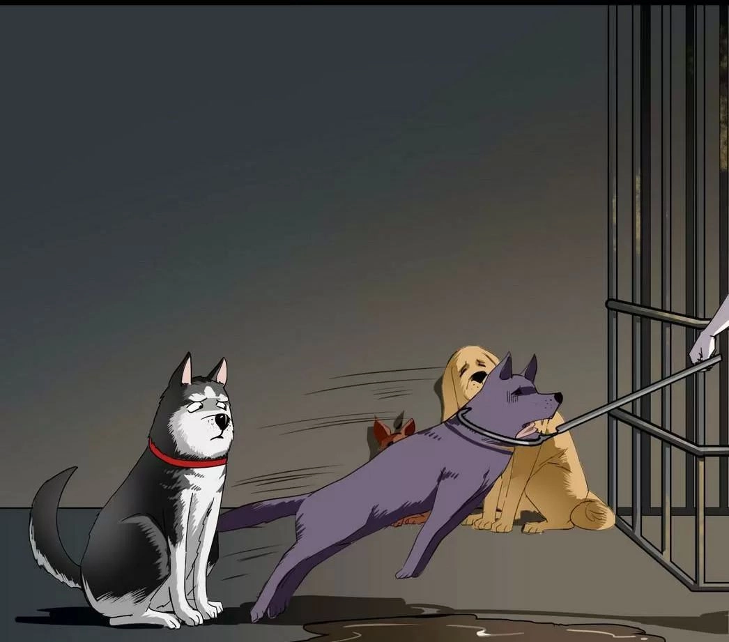 Một Con Chó Chapter 58 - 2