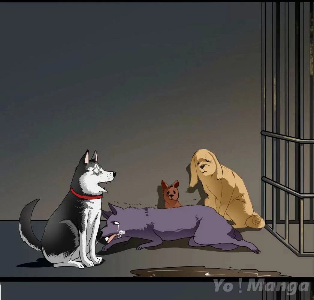 Một Con Chó Chapter 58 - 4