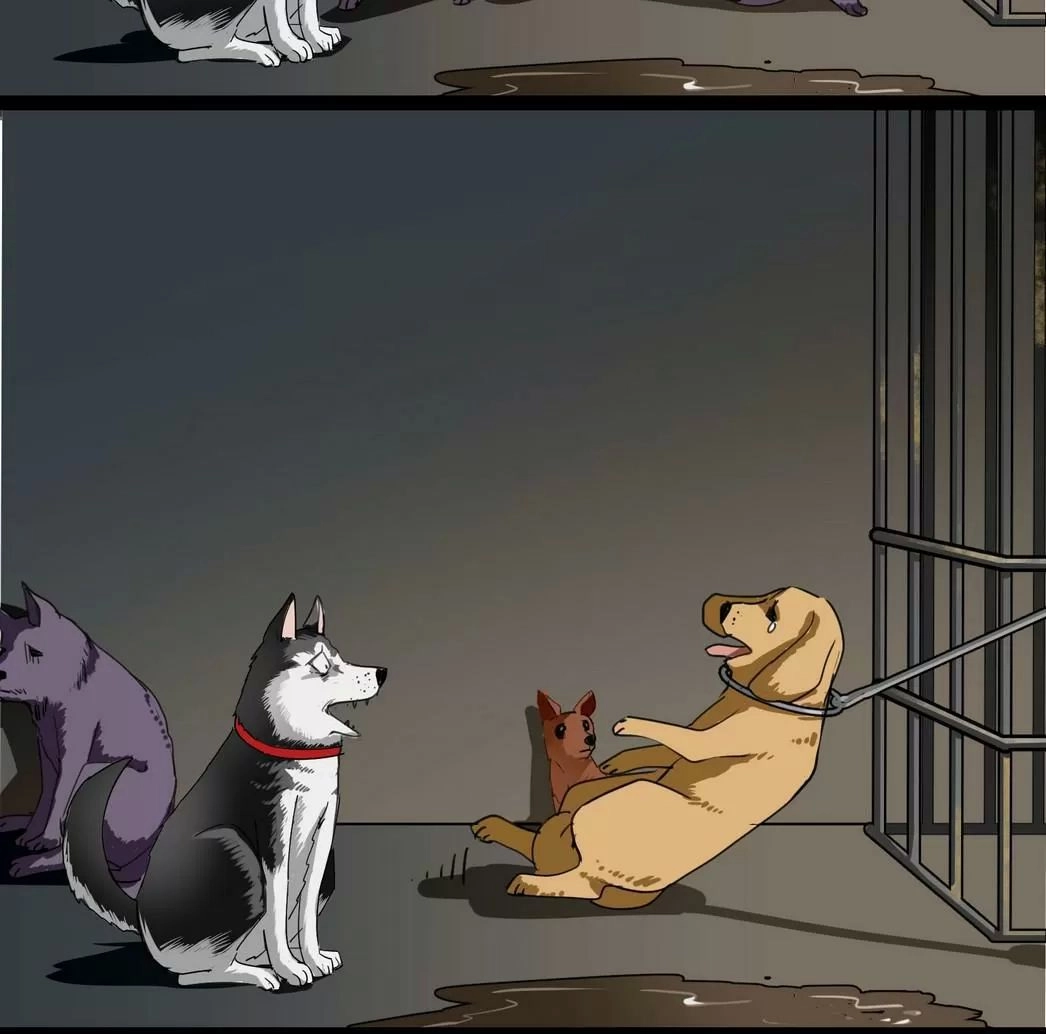 Một Con Chó Chapter 58 - 5