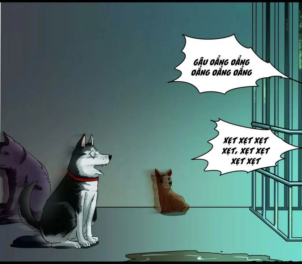 Một Con Chó Chapter 58 - 6