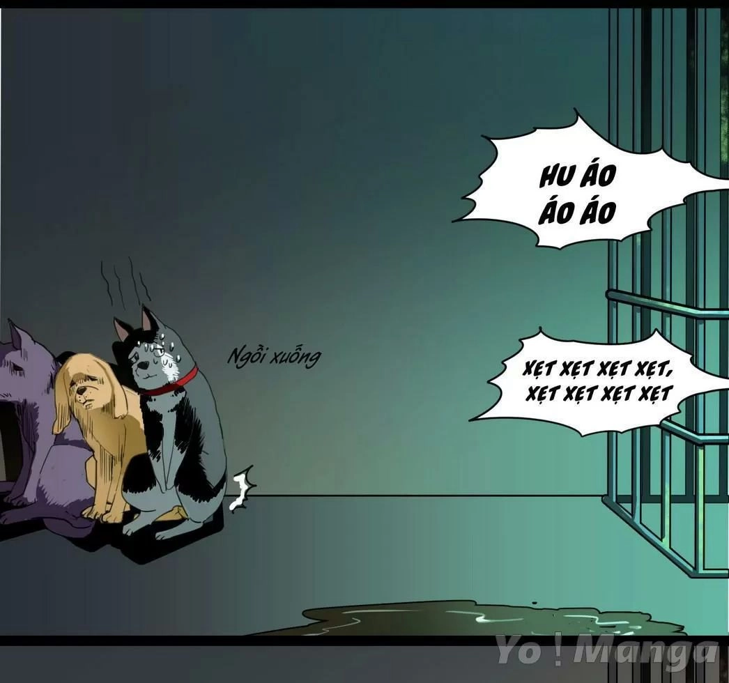 Một Con Chó Chapter 58 - 8