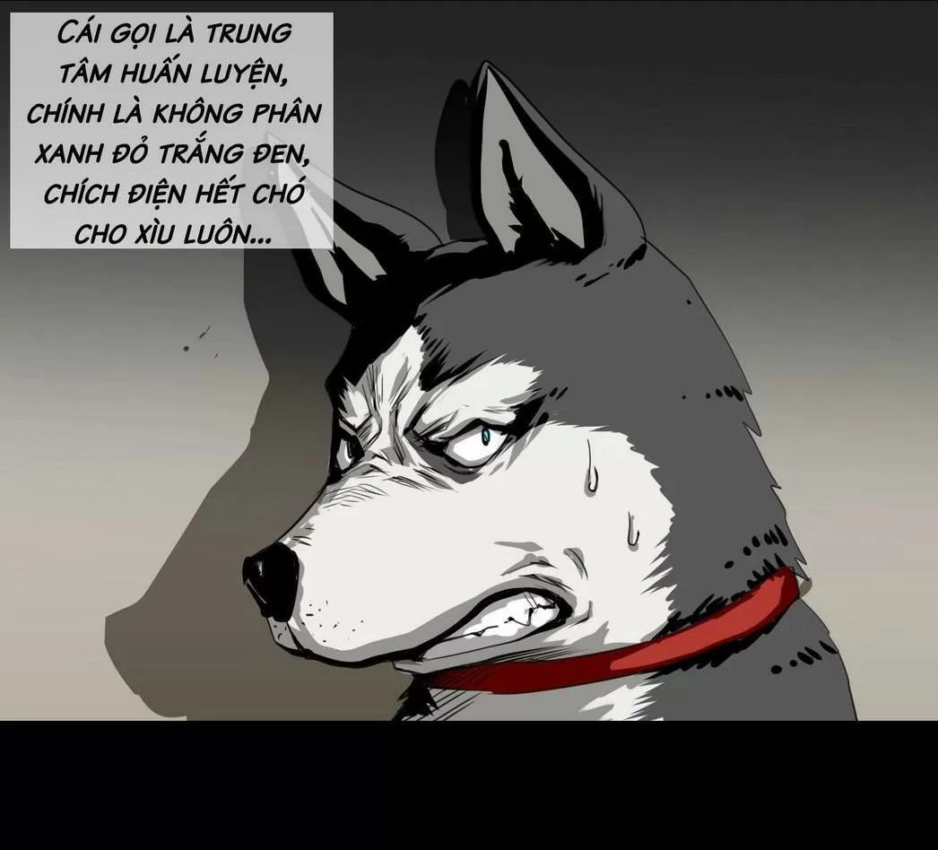 Một Con Chó Chapter 58 - 10