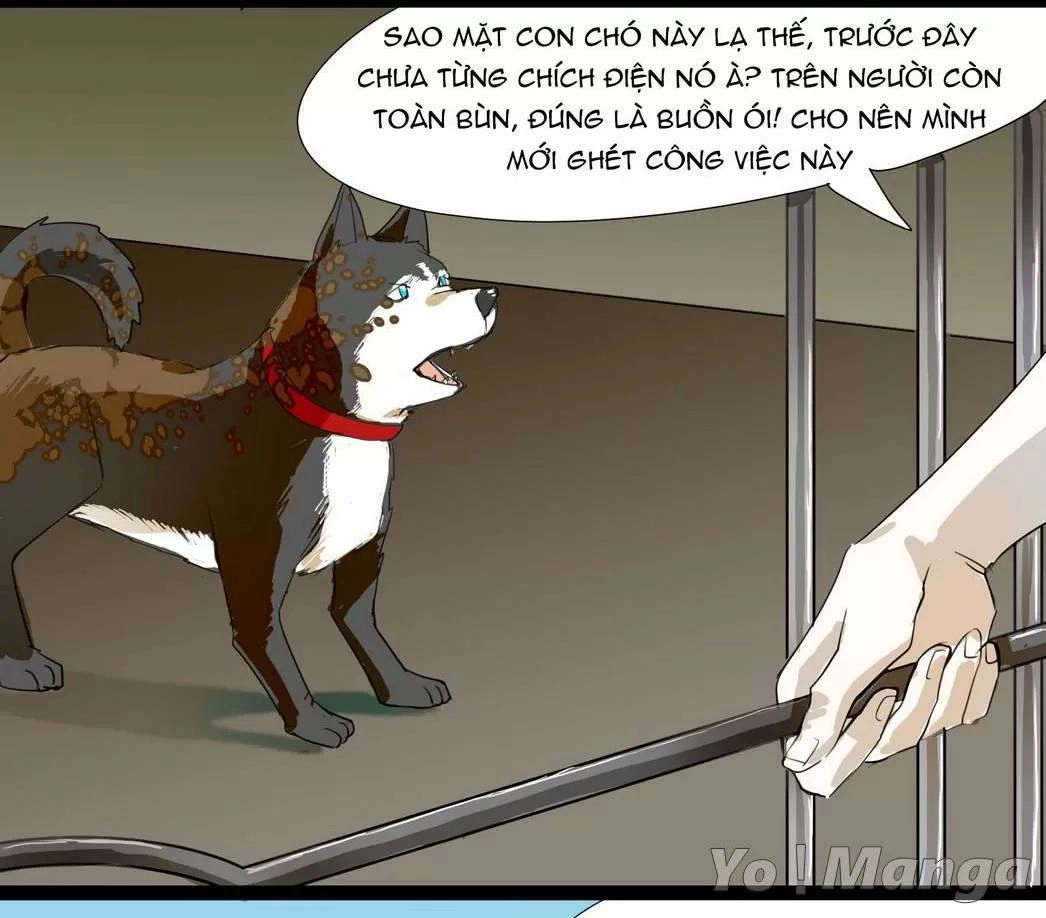 Một Con Chó Chapter 60 - 6
